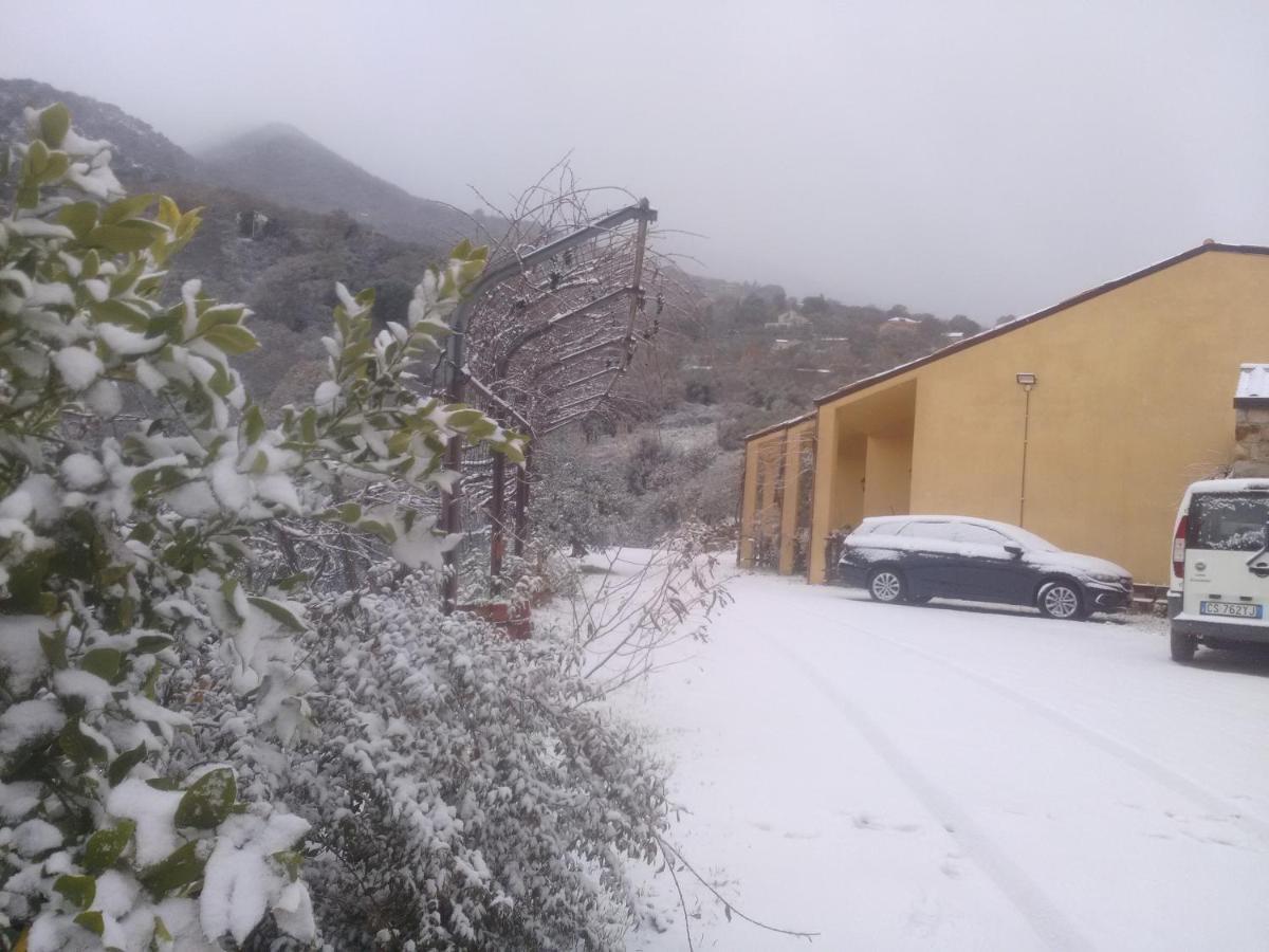 Villaggio Dei Balocchi Castelbuono  Εξωτερικό φωτογραφία